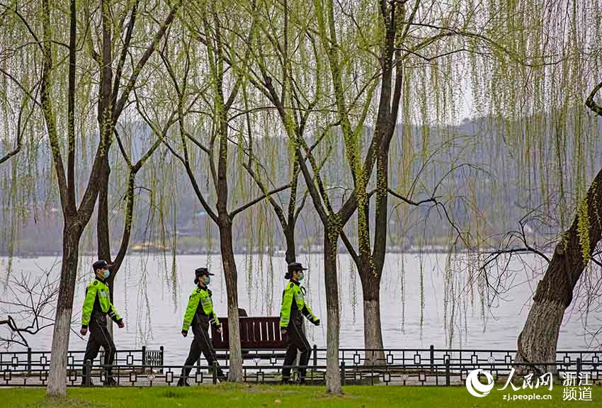 Ѳ߉߅Ѳ߉W z