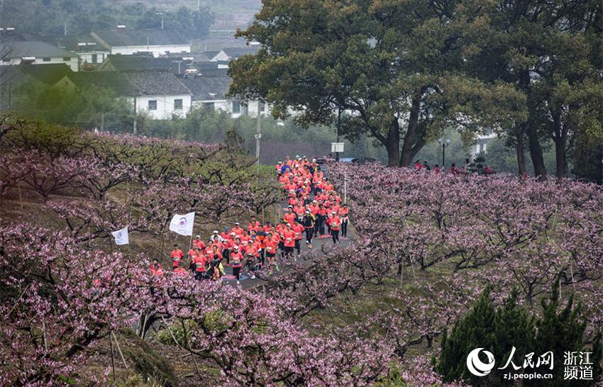 321ڌз^ּҴgW z