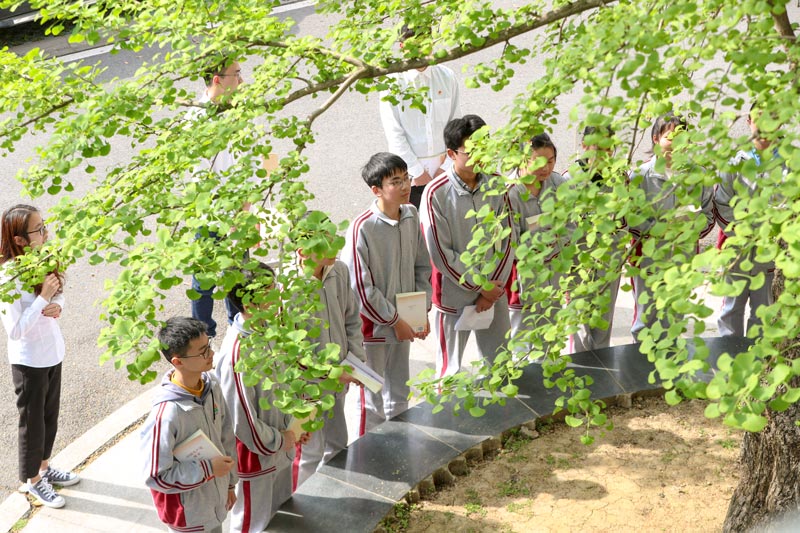 hTFTČWУWvhʷz