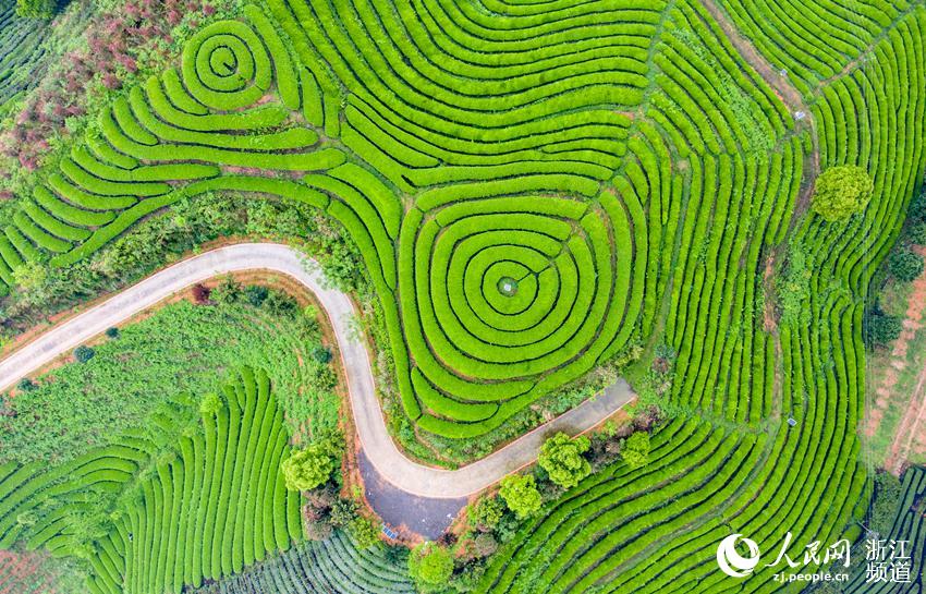 һ5Gz^շA500ײ~LW z