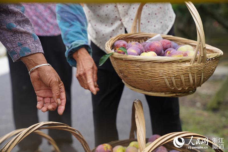 񂃌ժµĘb@W ʒʒz