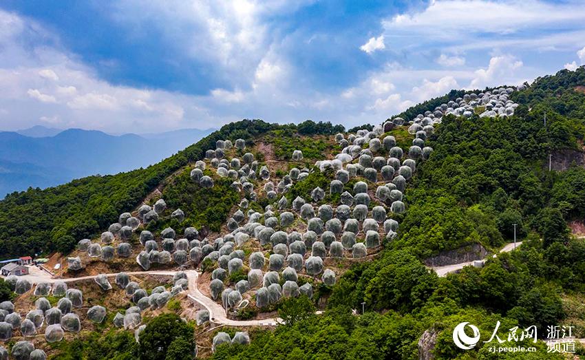 _Sr^ƽl÷÷䶼ڡÎW z