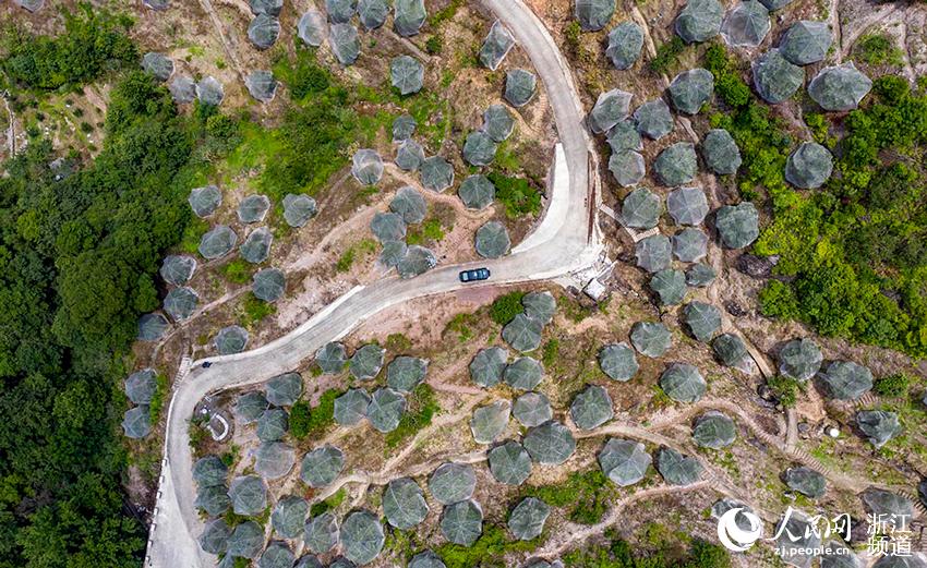 _Sr^ƽl÷÷䶼ڡÎW z