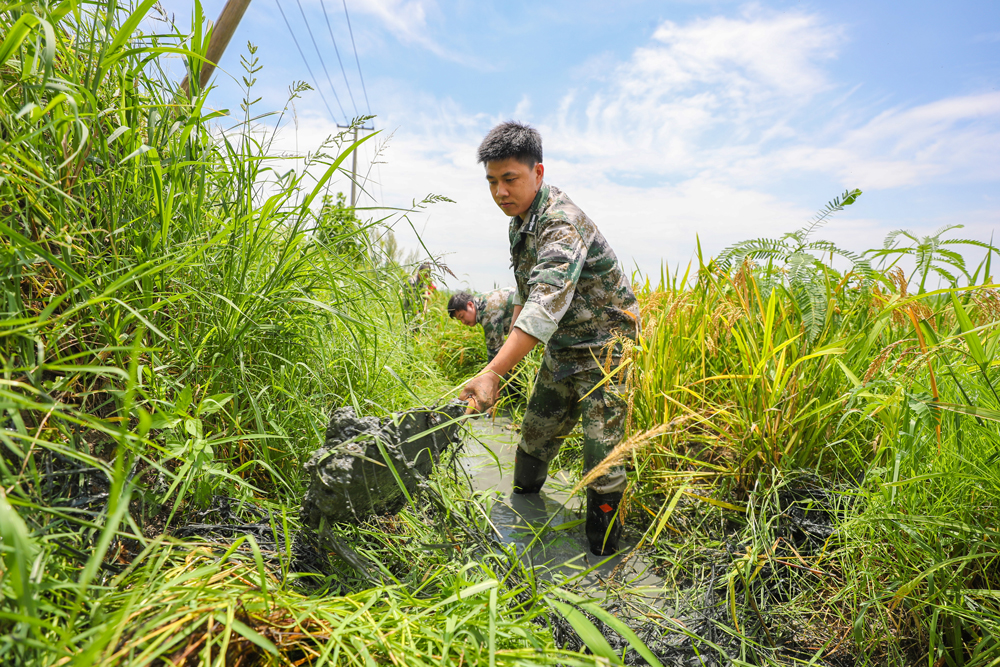 728ںеhҴһ̎ԮˆTrˮz