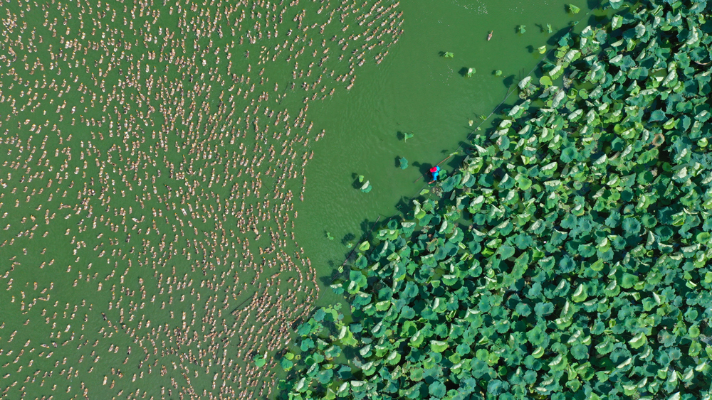 犹¸ʡFrI@^rˮgz