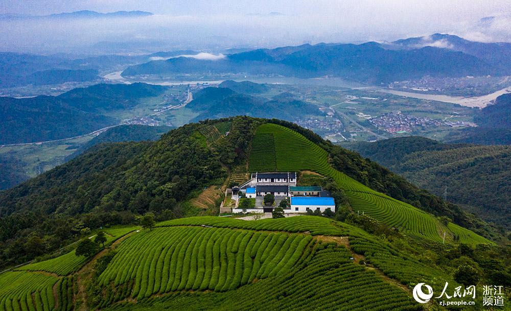 D錎ЌhSֵǧ@W z