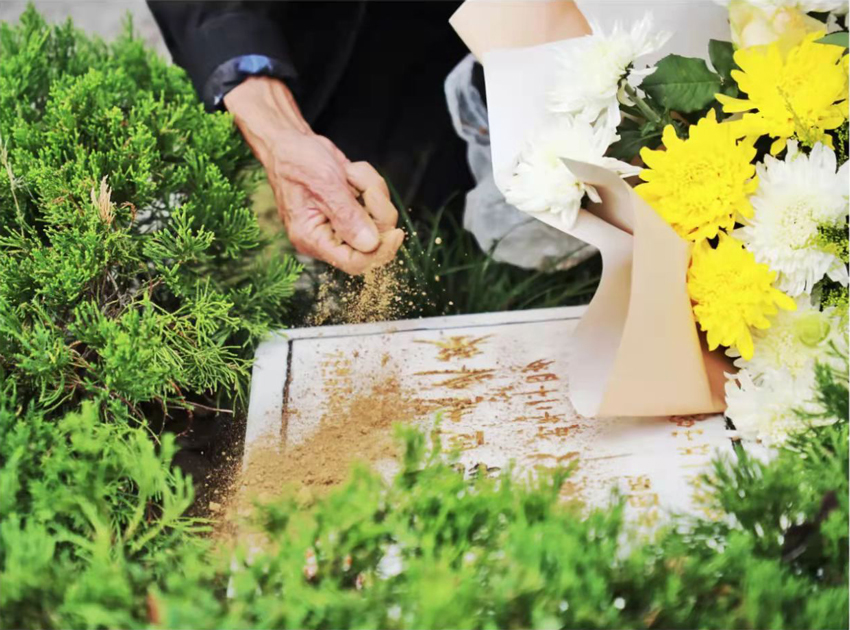 ʿzفһɽuʿ@Hˮˮz