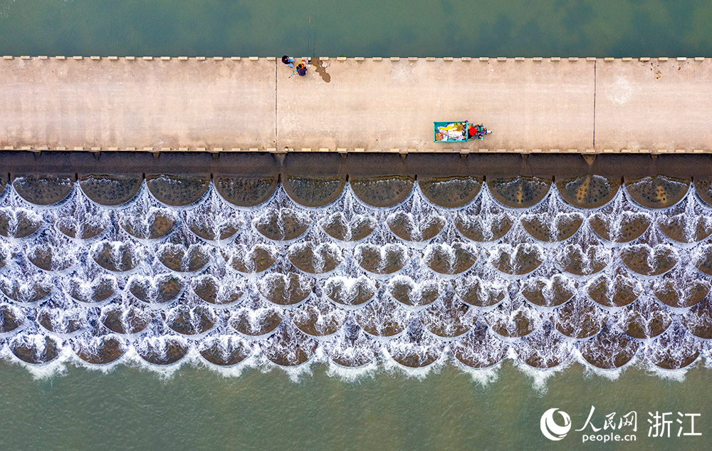 ӵˆTڌЌhǰͯɽ~[߉ѲӵW z