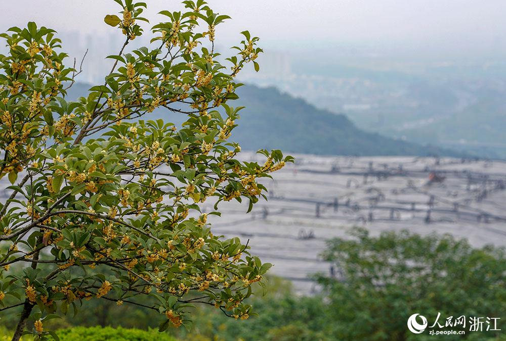 ӎXB@ʢ_W z