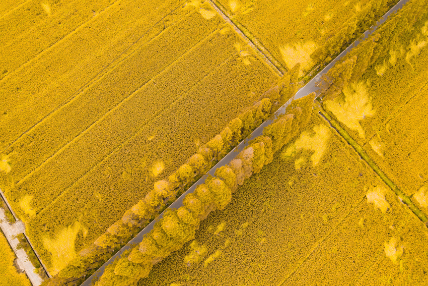 ĺr·ë˾;ɫSͯz