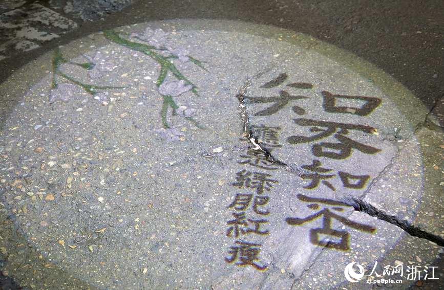 gօ^ͶӰݞδԊ~W z