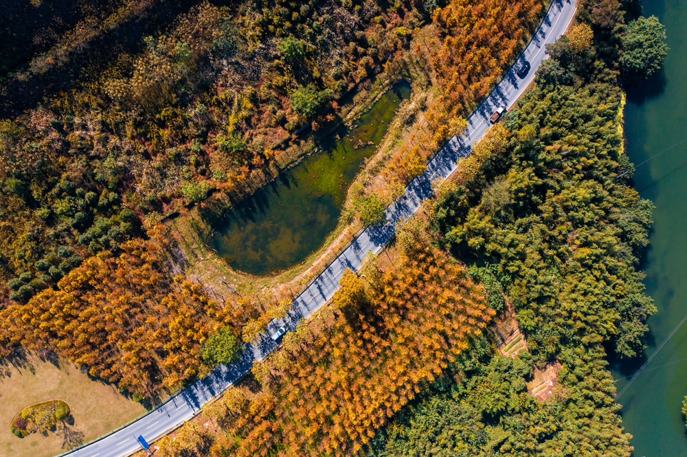 119ຼྀﾰɫȔz