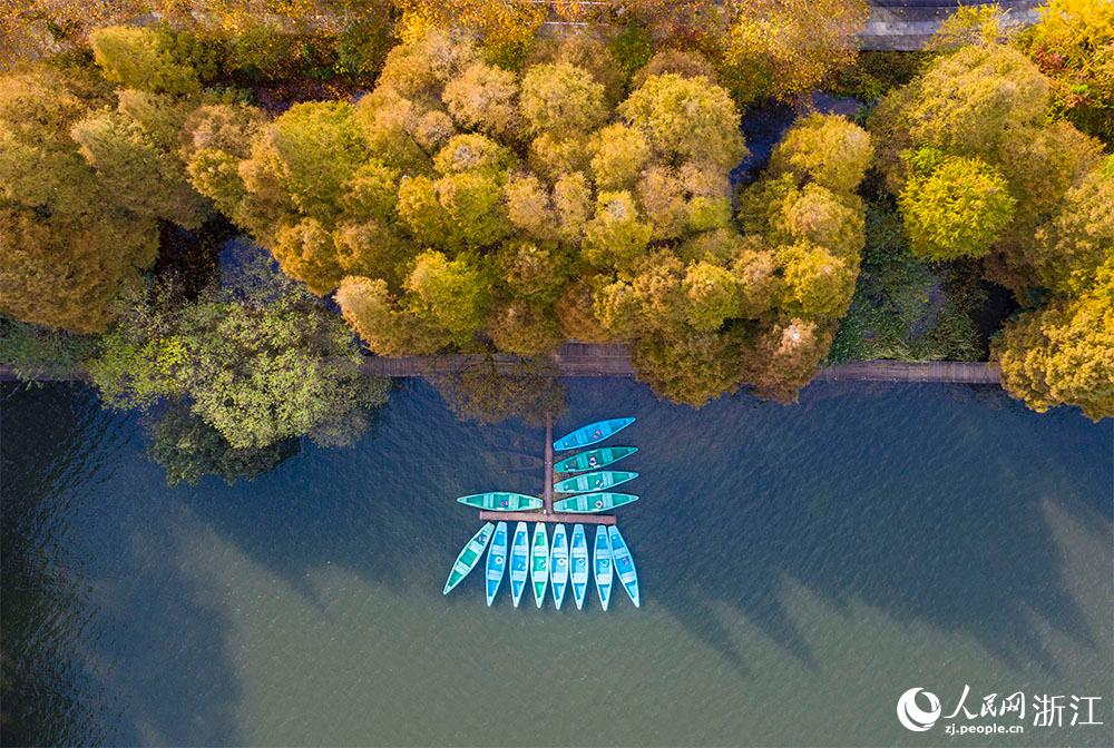 1122ں^δڰ߅W z