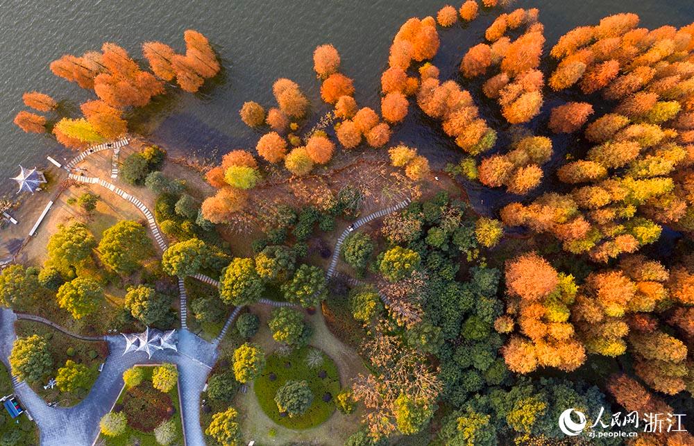 ߅ļtɼ_Ԋ箋oĶՎһĨůW z