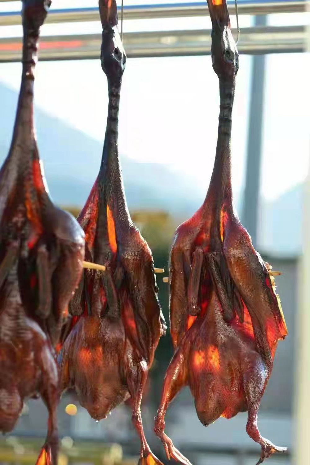 uuu~u؛ǽһҹġͩ]hίD