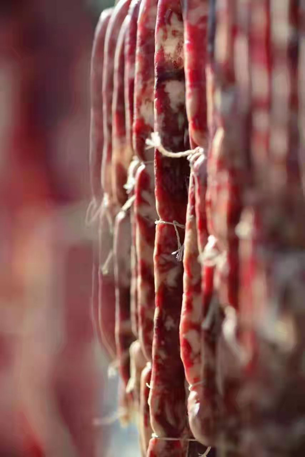 uuǽһϵӵζͩ]hίD