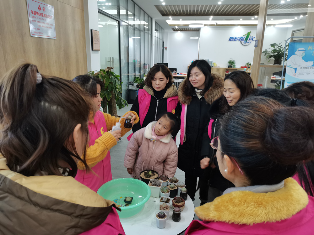 ͯչʾNֲcBoP֪RҦӢz