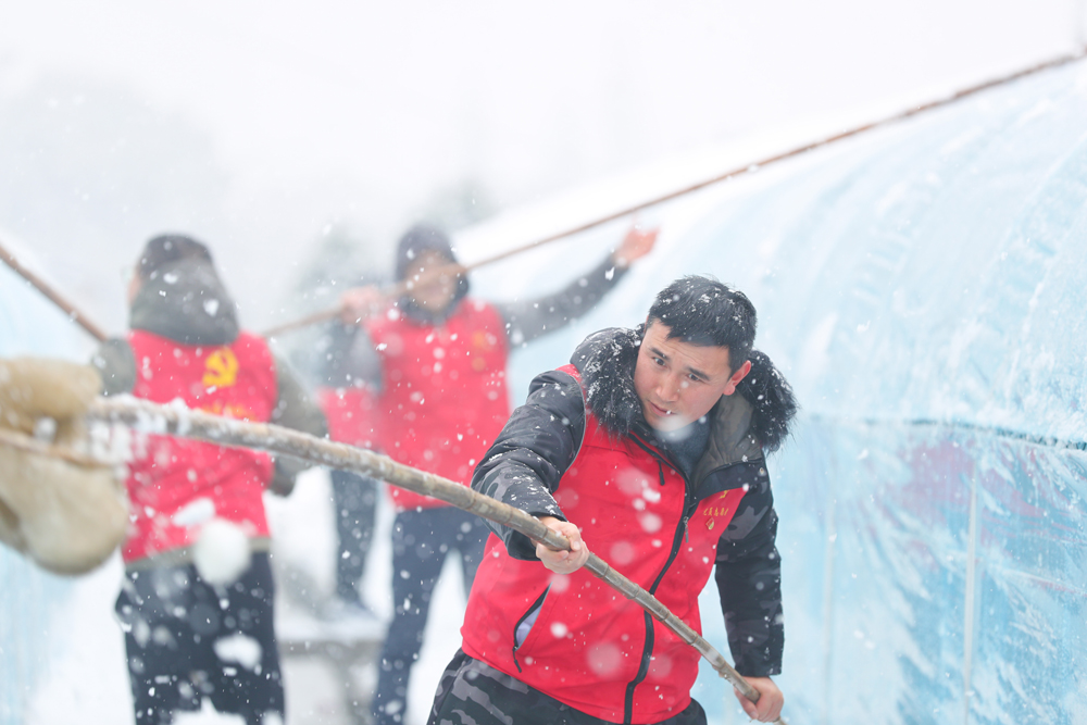 hT־Ըߎϵķeѩz