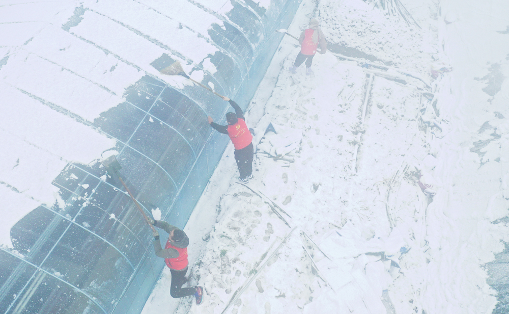 hT־Ըߎϵķeѩz