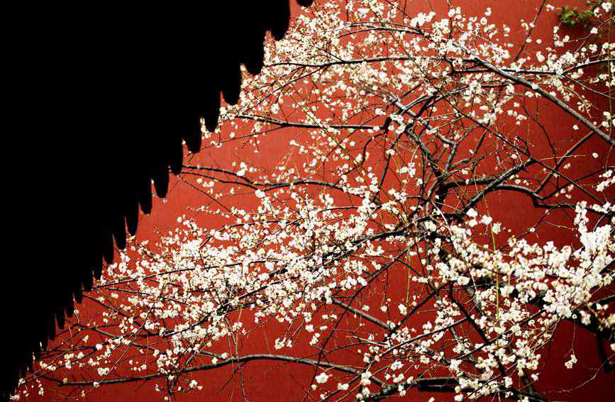 XȵļtcD÷ӳrϪίD