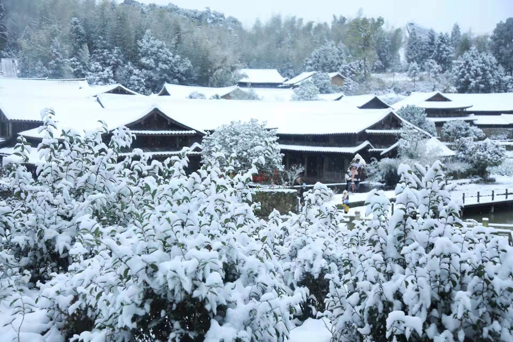 픺֦^eһӺѩecz