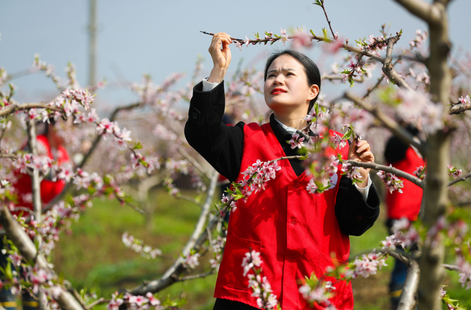 犹hTr꠳ɆTrһM˹ڷz