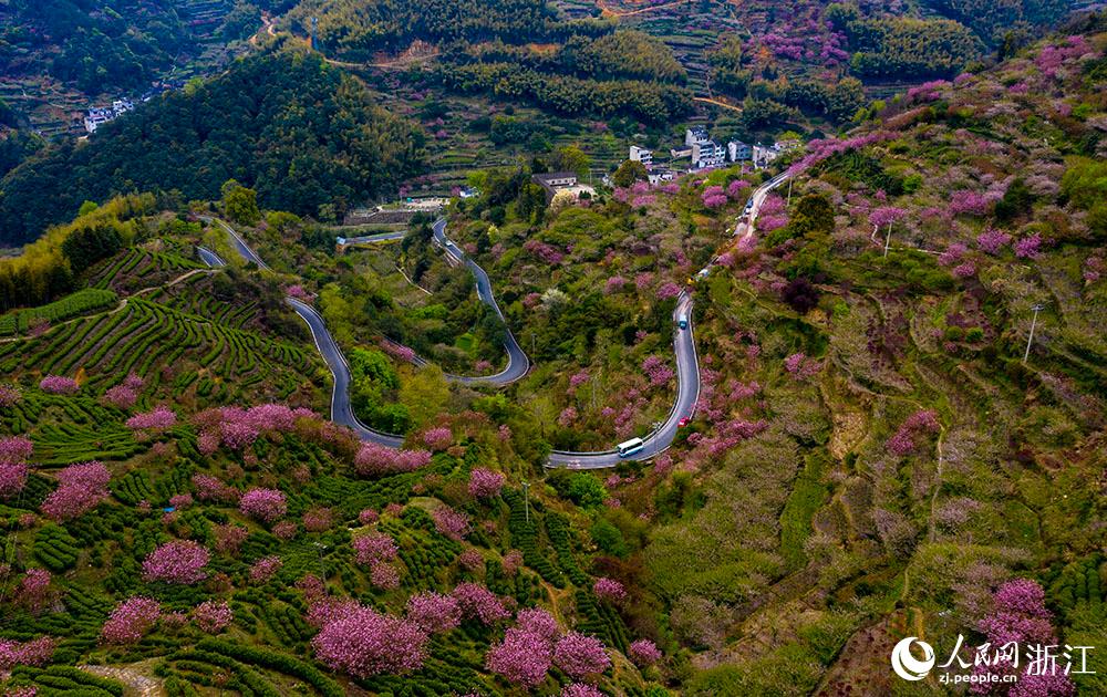 ܇vڙѻʢ_ĽBd²hСپW z