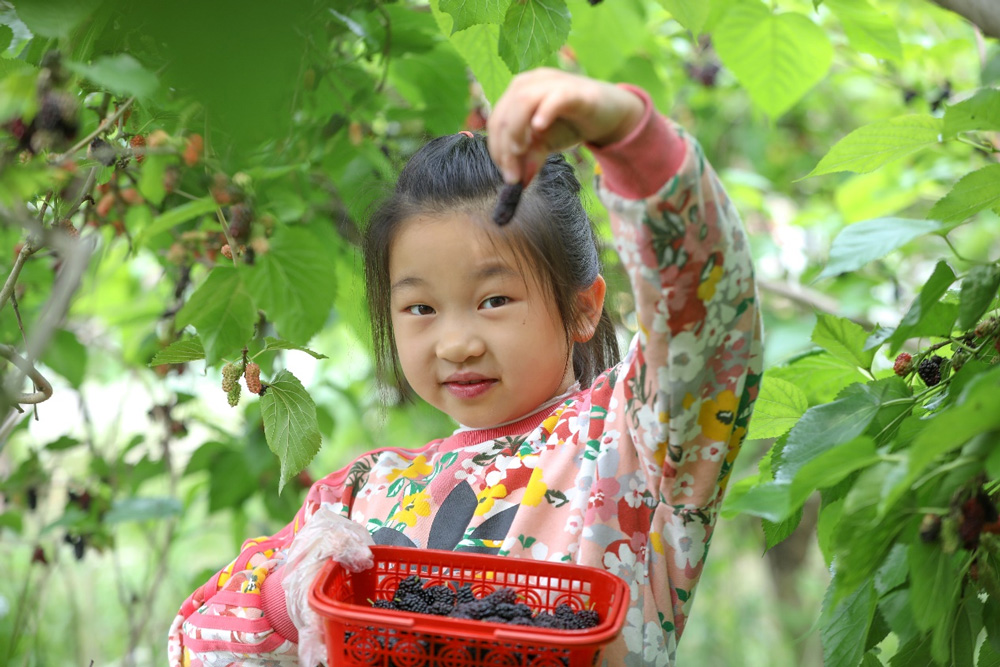 �ں����е���h犹����Ϫ������ߞ��I�؃��������ο����ڲ�ժɣ��������z