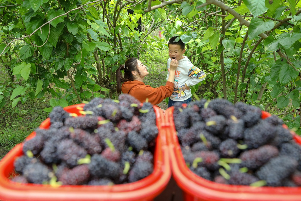 �ں����е���h犹����Ϫ������ߞ��I�؃��������ο����ڲ�ժɣ��������z