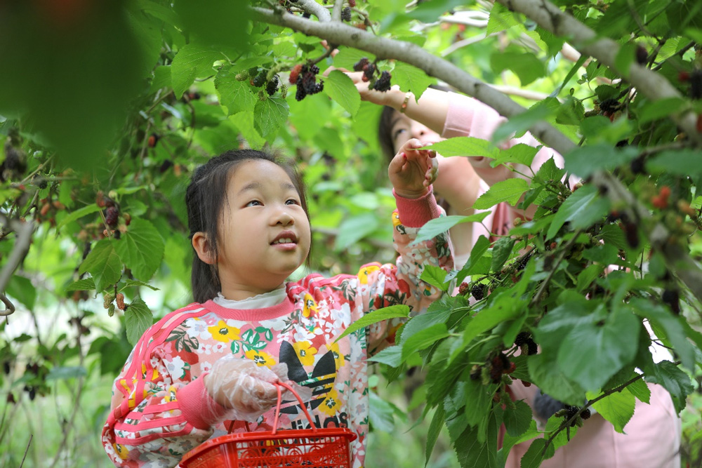 �ں����е���h犹����Ϫ������ߞ��I�؃��������ο����ڲ�ժɣ��������z