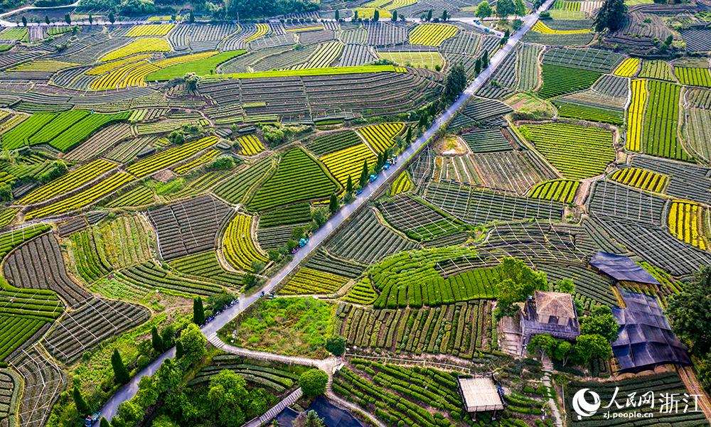 ˮꖿhľɽf@q򷭵{ɫPW z