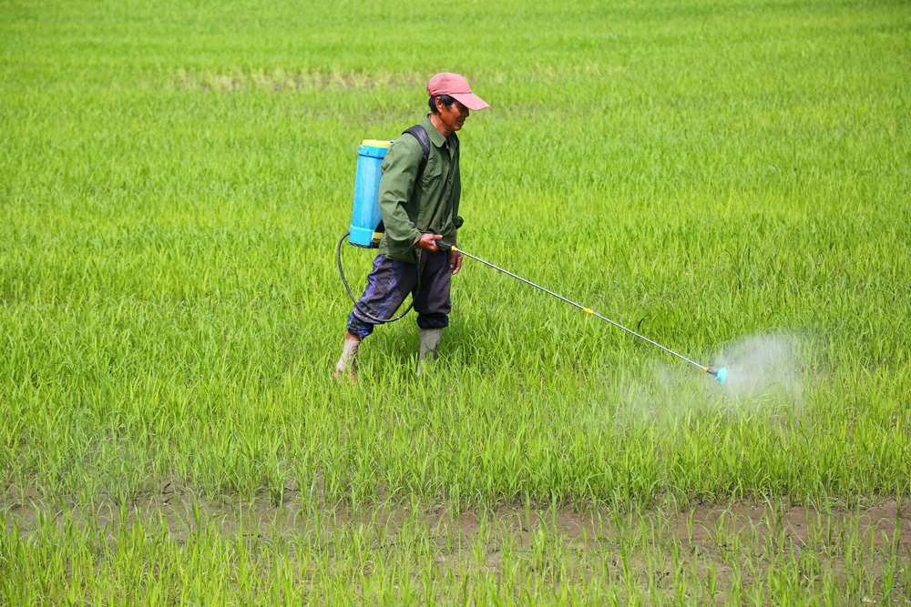 522_·^M悾絾ræz