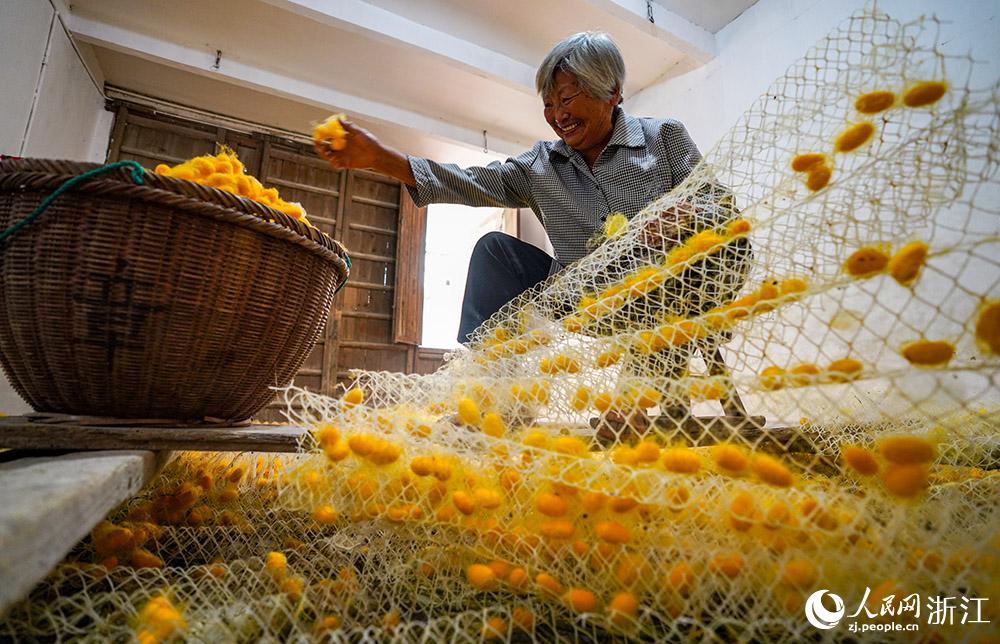 61㽭ʡͩlPQֵٴQrաSOW z