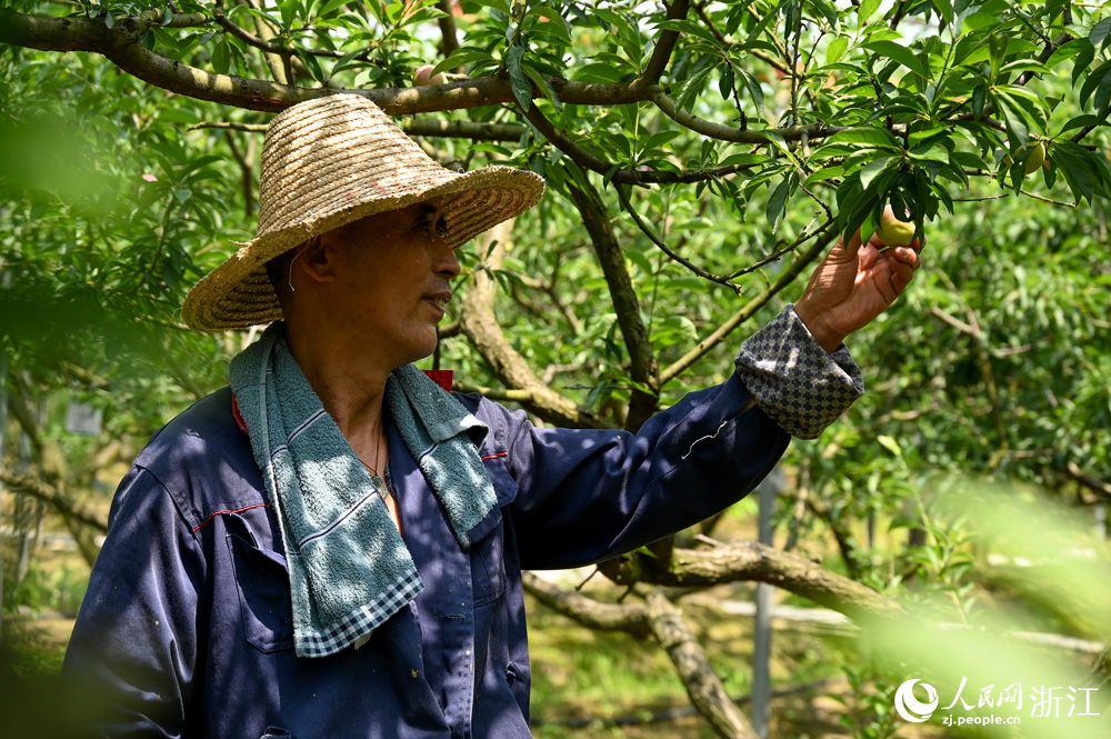 6��18�������dͩ�l��ͩ�ֵ��҈@���һ̎���@�����r����æ����ժ����������W �~�e�Ôz