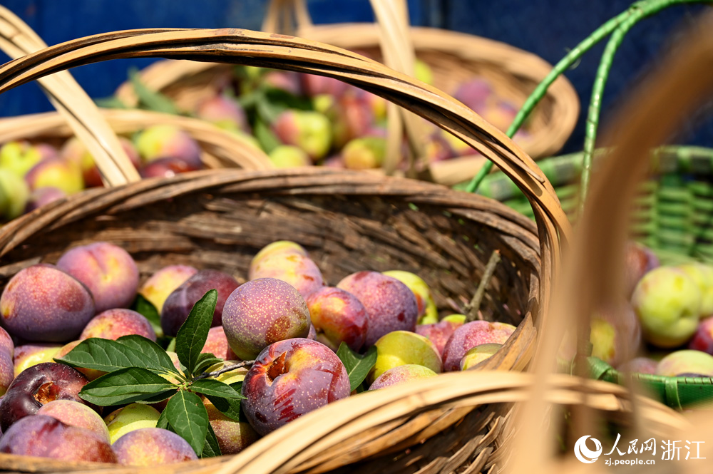 ���r��ժ���Ę���������W �~�e�Ôz