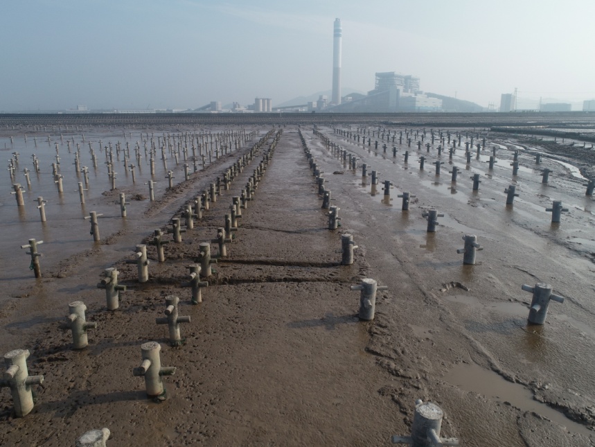 牡蠣礁修復區。六橫管委會供圖