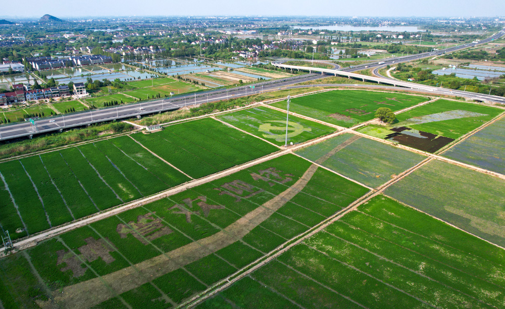 該鎮營造了符合鄉村特色的主題性大地景觀。白羽攝