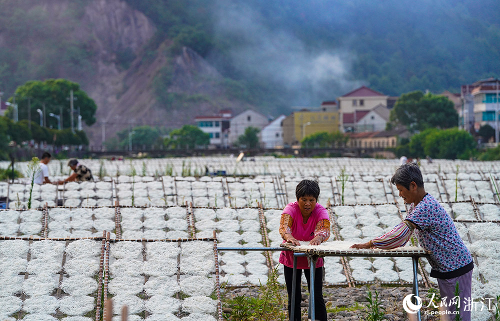 在浙江省嵊州市甘霖鎮殿前村的小烏溪江邊，村民們抓住晴好天氣忙著晾曬榨面。人民網 章勇濤攝