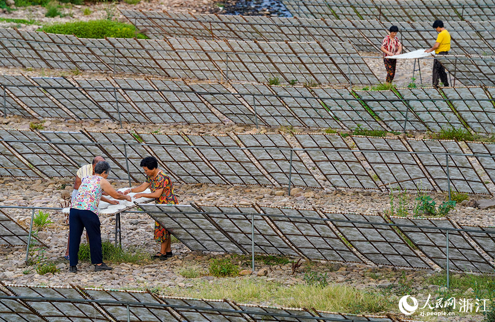 在浙江省嵊州市甘霖鎮殿前村的小烏溪江邊，村民們抓住晴好天氣忙著晾曬榨面。人民網 章勇濤攝