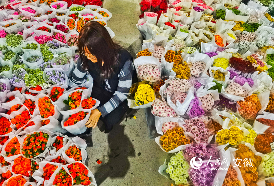 工作人員擺放剛剛運輸送達的新鮮花卉。人民網 陶濤攝