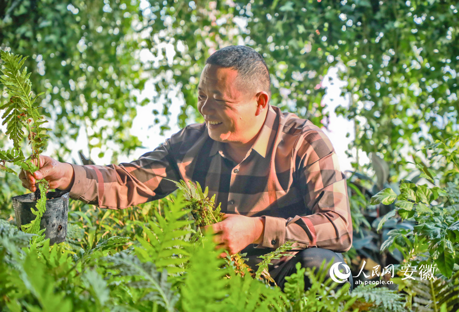 園藝師檢查大棚內綠植，大棚內一片綠意盎然。人民網 陶濤攝