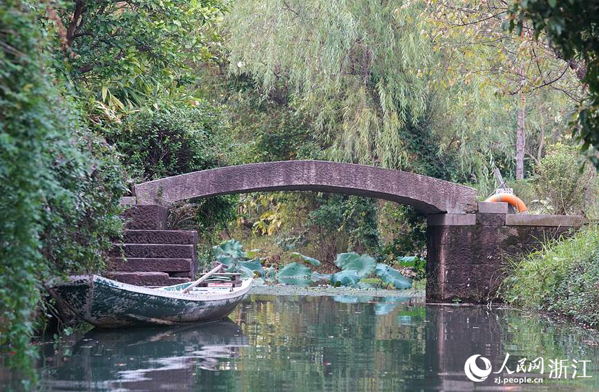 西溪濕地秋景怡人。人民網 方彭依夢攝