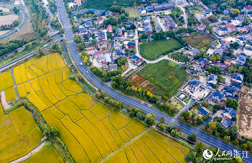 “四好農村路”穿行在美麗村莊、繁花綠樹、金色田園間，構成一幅美麗的鄉村畫卷。人民網 章勇濤攝