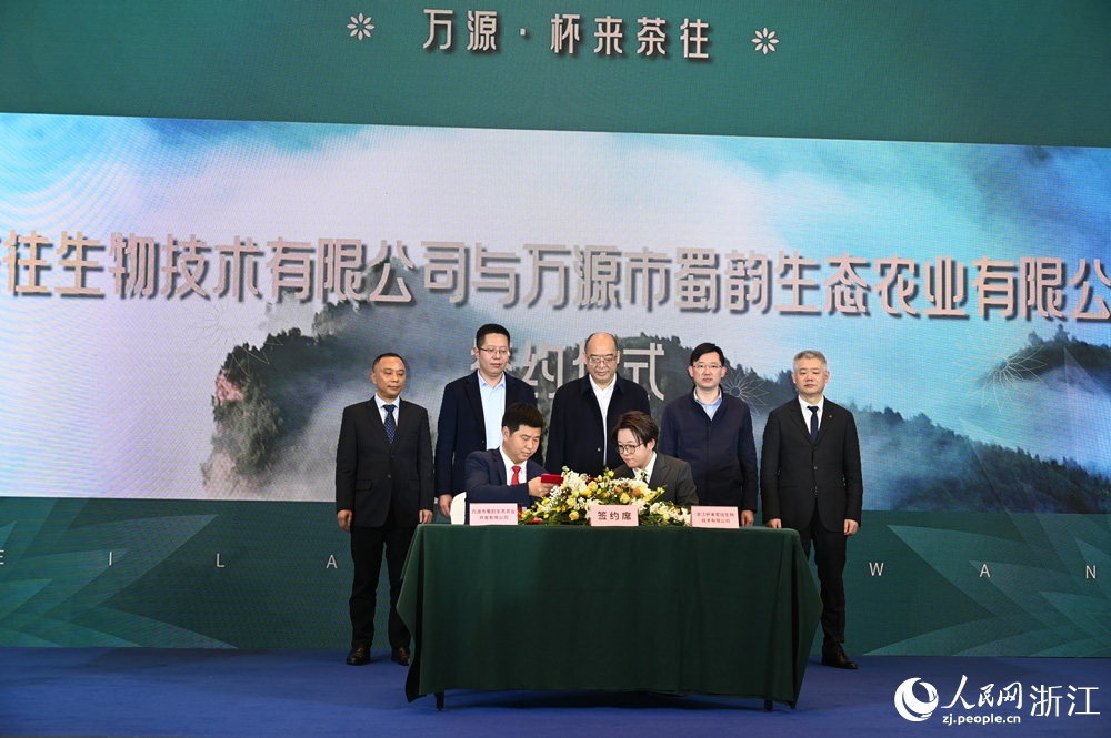 浙川茶企進行合作簽約。人民網 葉賓得攝