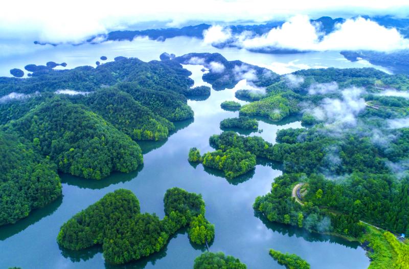 千島湖流域。淳安縣委宣傳部供圖