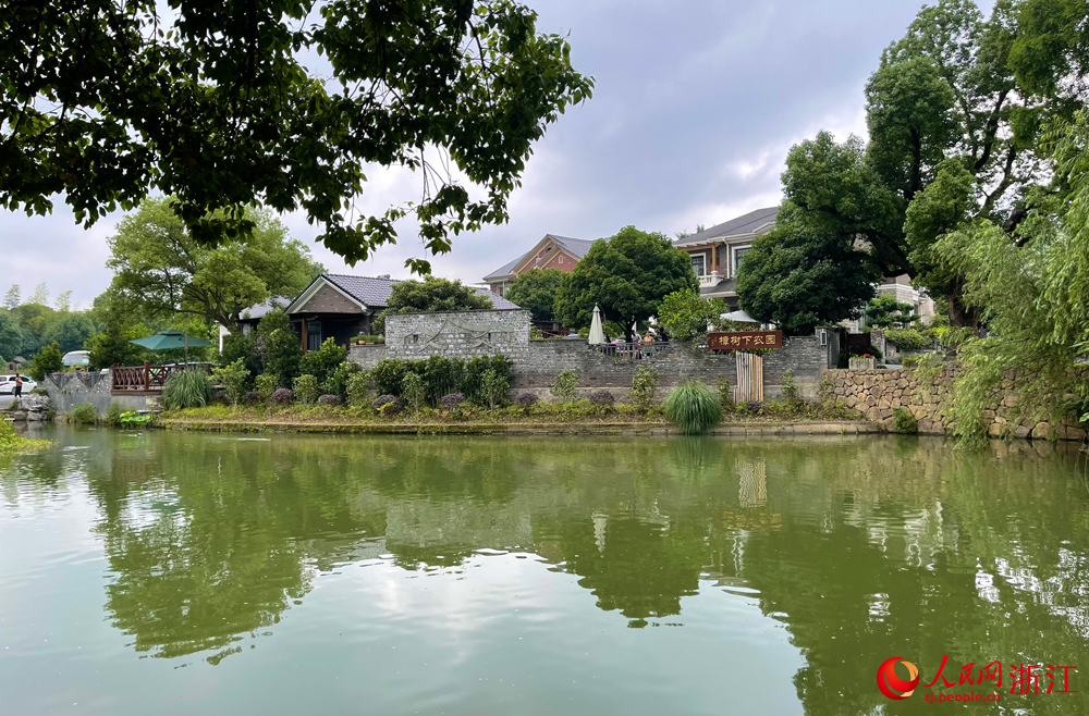 樟樹下農園。人民網記者 郭揚攝