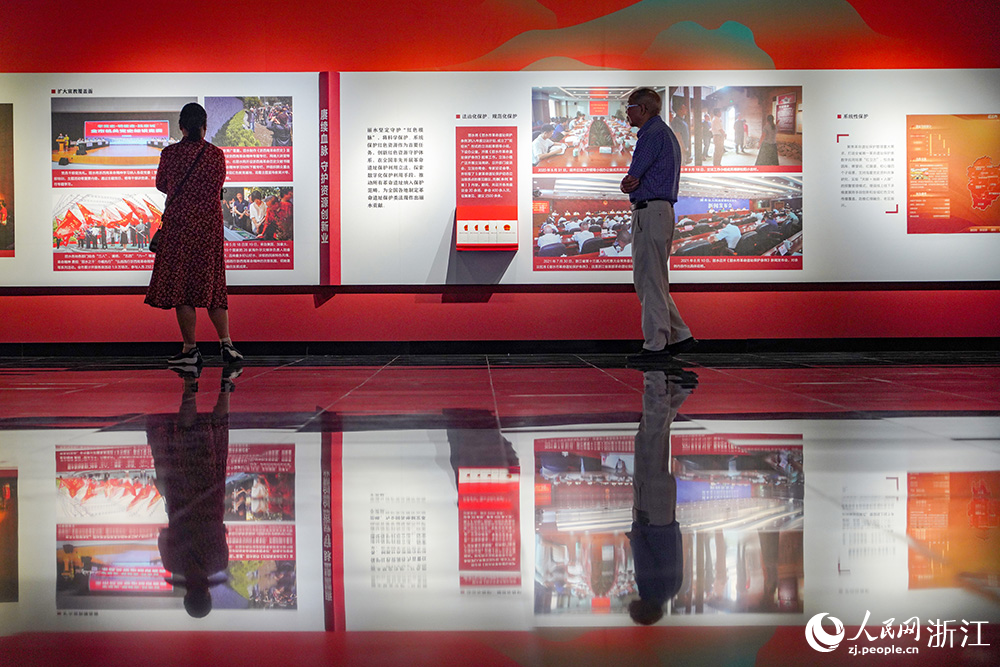 6月19日，市民在觀看展覽。人民網 章勇濤攝