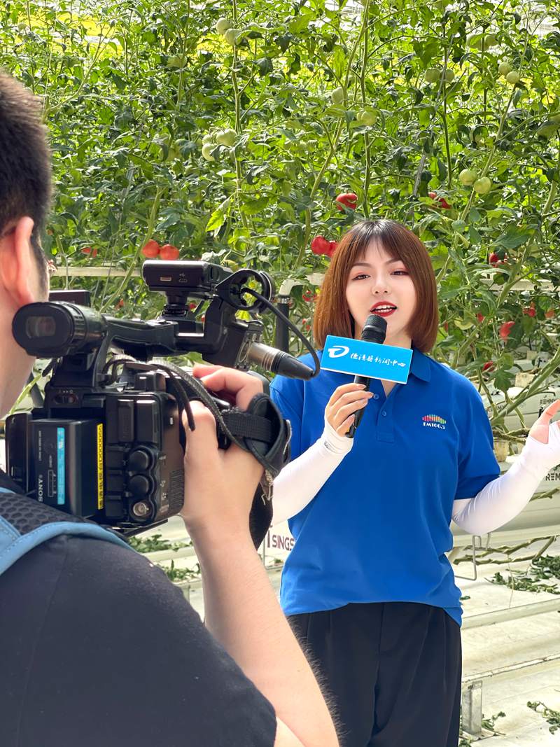 季敏鈺正在采訪。受訪者供圖