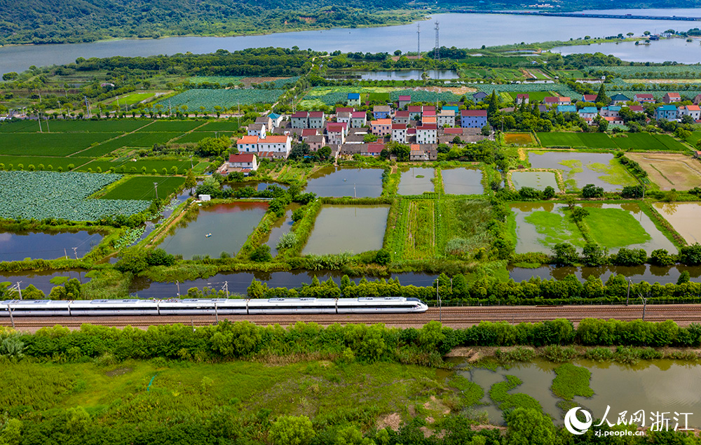 8月8日，一輛城際列車行駛在杭紹甬城際鐵路余姚段境內。人民網 章勇濤攝