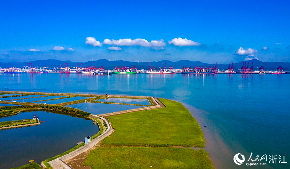 寧波舟山港梅山港區遠控設備集群數量居全國同類碼頭首位，“5G+北斗”應用設備數量位居全國集裝箱碼頭前列。人民網 章勇濤攝